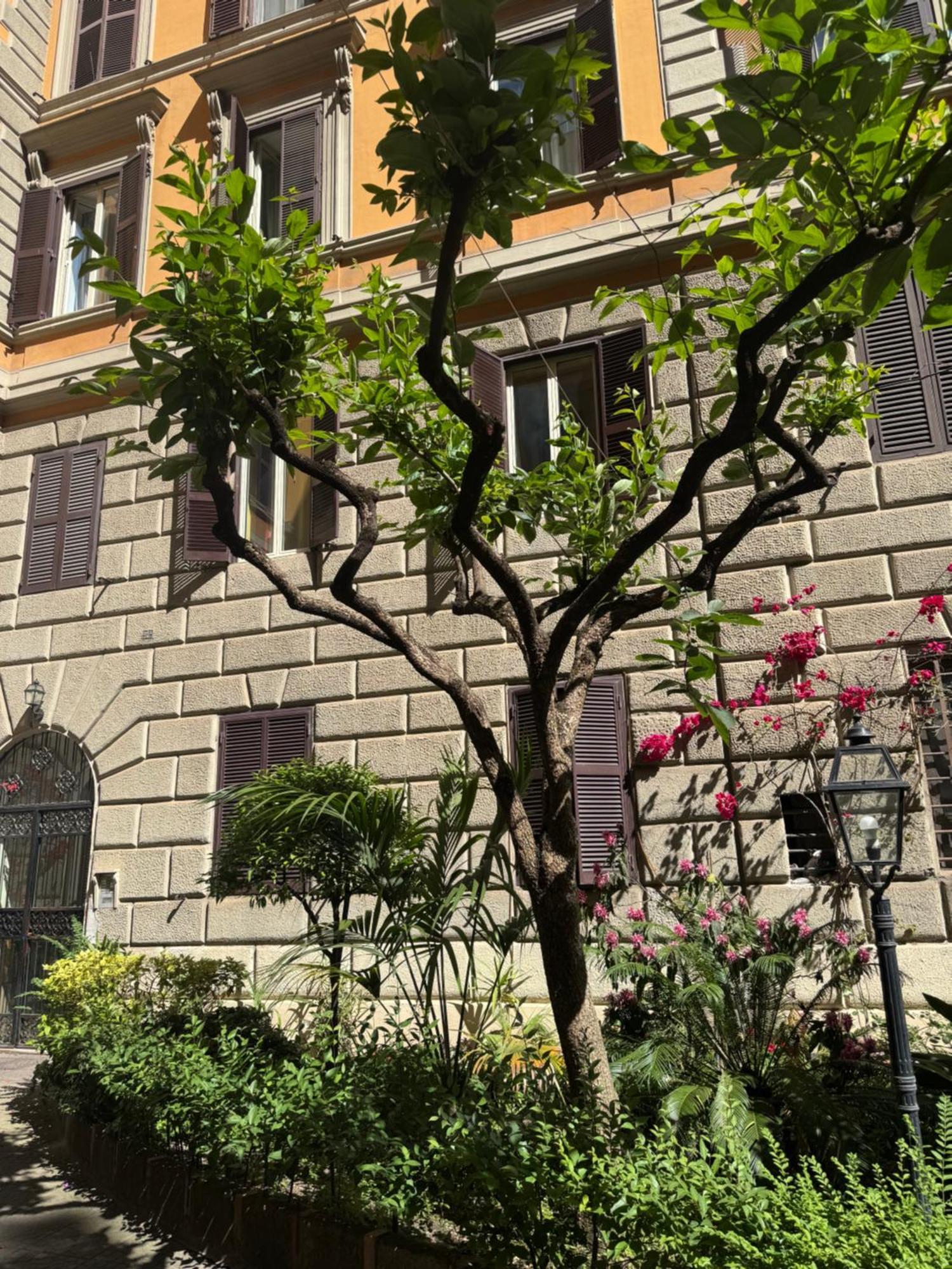 Appartamento Larisarooms Rzym Zewnętrze zdjęcie